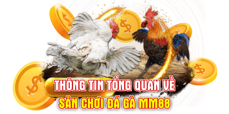 Thông tin tổng quan về sân chơi đá gà MM88